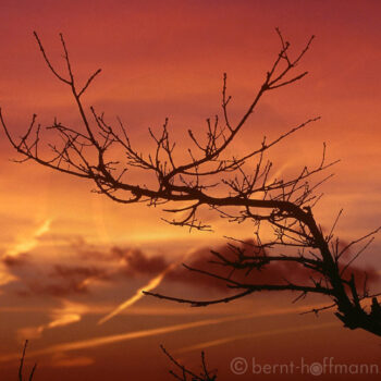 Bernt Hoffmann: Winterhimmel an der Geltinger Bucht