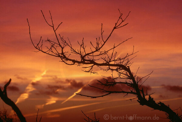 Bernt Hoffmann: Winterhimmel an der Geltinger Bucht