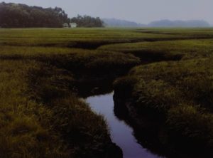 Ulrich Mack: In the marsh - tidal change