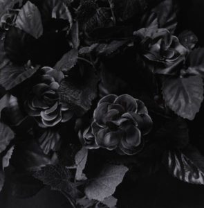 Heidi Krautwald: Flores artificales I